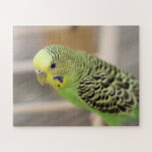 Kiwi Legpuzzel (Horizontaal)