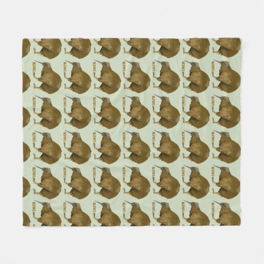 Kiwi N.Z. Bird Fleece Deken (Voorkant (Horizontaal))