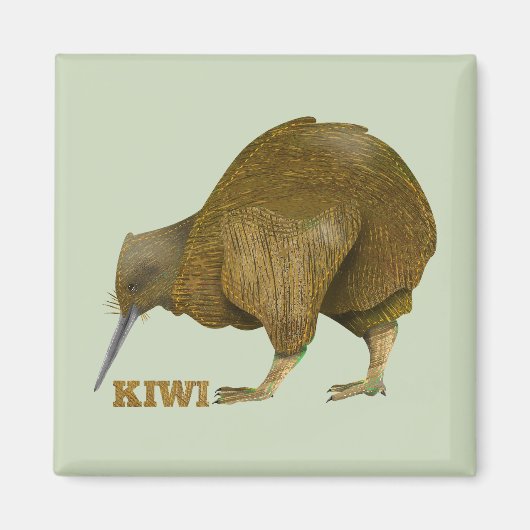 Kiwi N.Z. Bird Magneet (Voorkant)