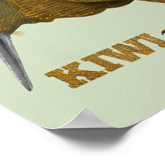 Kiwi N.Z. Bird Poster (Hoek)