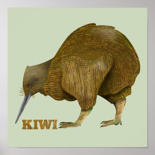 Kiwi N.Z. Bird Poster (Voorkant)
