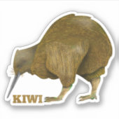Kiwi N.Z. Bird Sticker (Voorkant)
