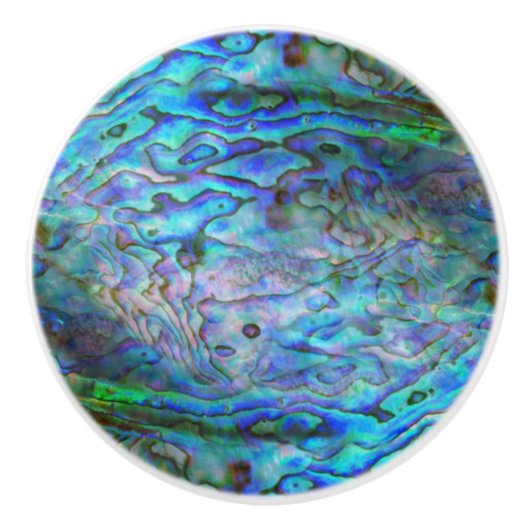 KIWI NEW ZEALAND PAUA KERAMISCHE KNOP (Voorkant)