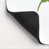 kiwi nz kiwifruit muismat (Hoek)