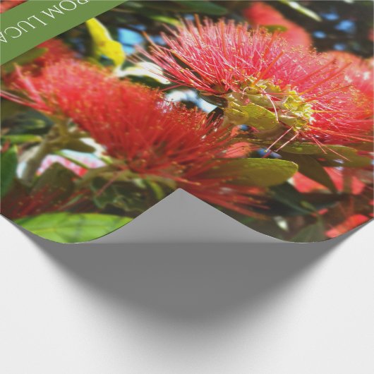 KIWI NZ ROOD GROEN POHUTUKAWA BLOEM XMAS BERICHT CADEAUPAPIER (Hoek)