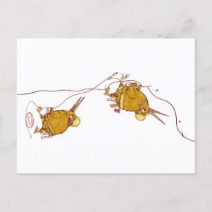 KIWI NZ VOGELS ROTSKLIMMEN BRIEFKAART