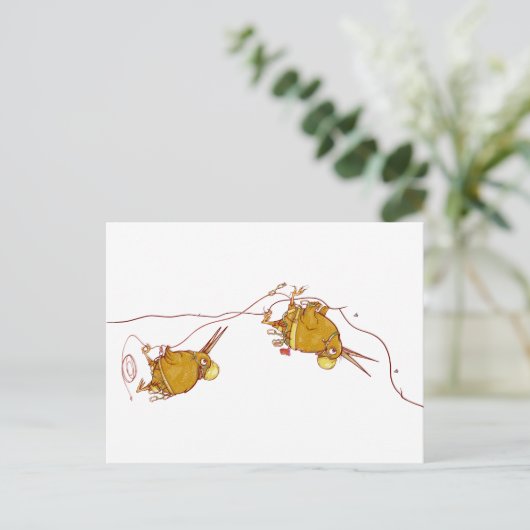 KIWI NZ VOGELS ROTSKLIMMEN BRIEFKAART (Staand voorkant)