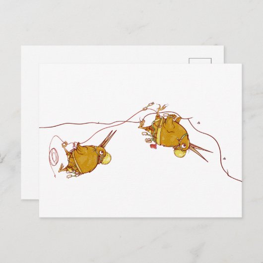 KIWI NZ VOGELS ROTSKLIMMEN BRIEFKAART (Voorkant / Achterkant)