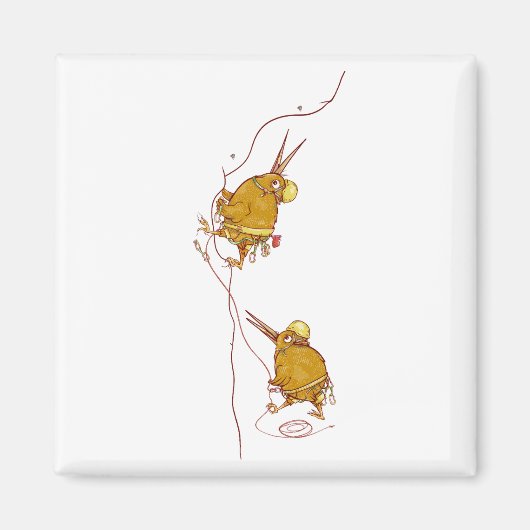 KIWI NZ VOGELS ROTSKLIMMEN MAGNEET (Voorkant)