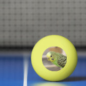 Kiwi Pingpongbal (Net)