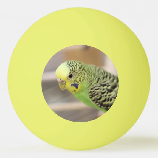 Kiwi Pingpongbal (Voorkant)