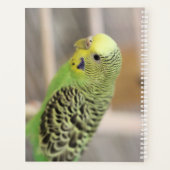 Kiwi Planner (Achterkant)