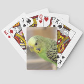 Kiwi Pokerkaarten (Achterkant)