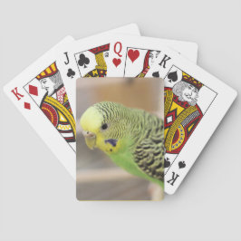 Kiwi Pokerkaarten