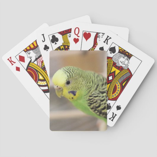 Kiwi Pokerkaarten (Achterkant)