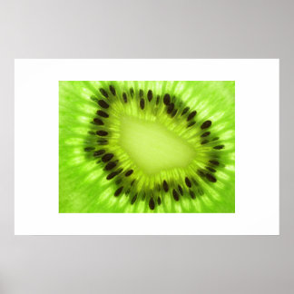 Kiwi Poster