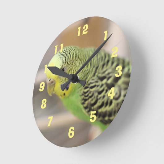 Kiwi Ronde Klok (Hoek)