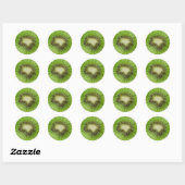 Kiwi Ronde Sticker (Vel)