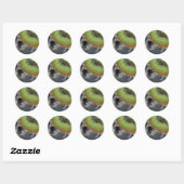 Kiwi Ronde Sticker (Vel)