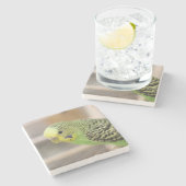 Kiwi Stenen Onderzetter (Zijkant)