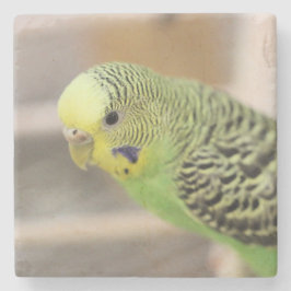 Kiwi Stenen Onderzetter