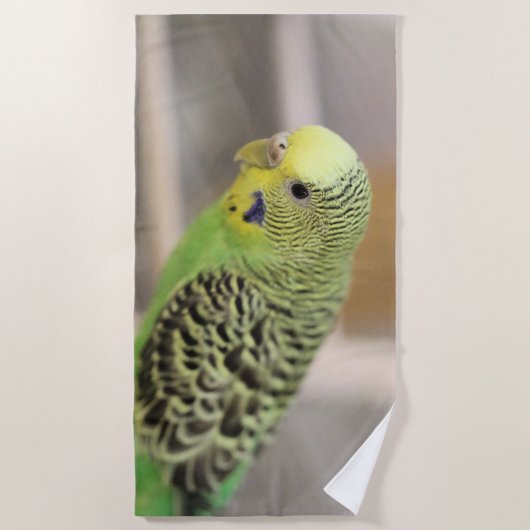 Kiwi Strandlaken (Voorkant)