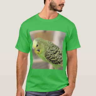 Kiwi T-shirt
