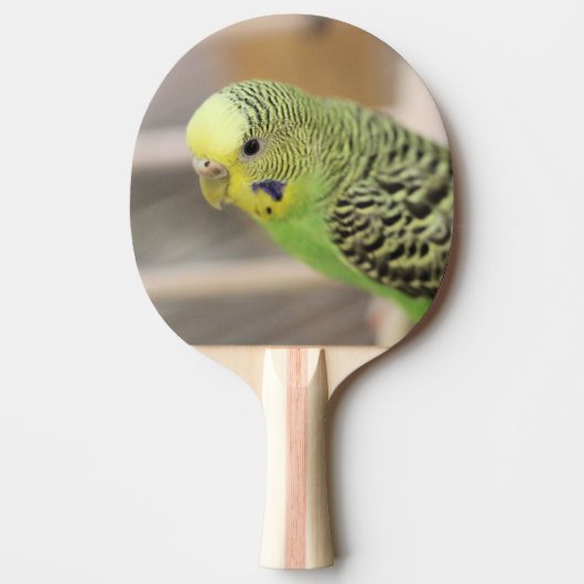 Kiwi Tafeltennisbatje (Voorkant)