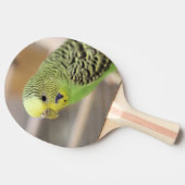 Kiwi Tafeltennisbatje (Zijkant)