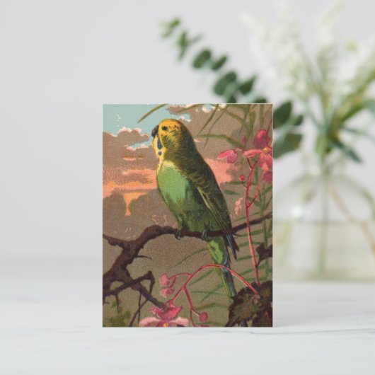 Kiwi the Parakeet Briefkaart (Staand voorkant)