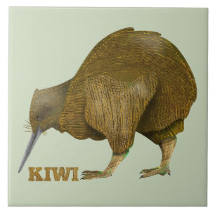 Kiwi vogel Nieuw-Zeeland Tegeltje