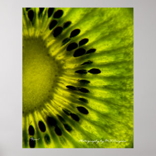 Kiwi Wall Art Poster