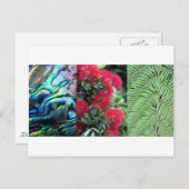Kiwiana fern paua pohutukawa briefkaart (Voorkant / Achterkant)