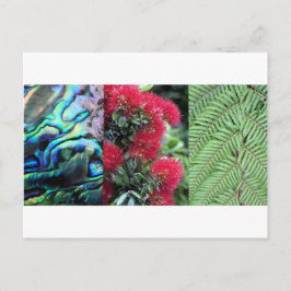 Kiwiana fern paua pohutukawa briefkaart