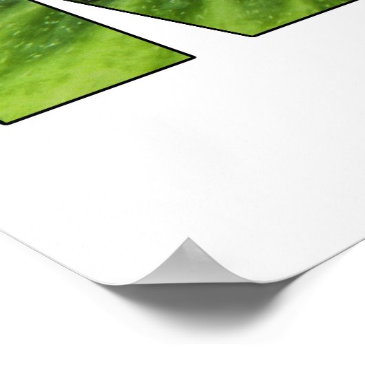 Kiwi's Poster (Hoek)