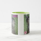 Kiwi's Smile Coffee Mok (Center)