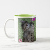 Kiwi's Smile Coffee Mok (Links)