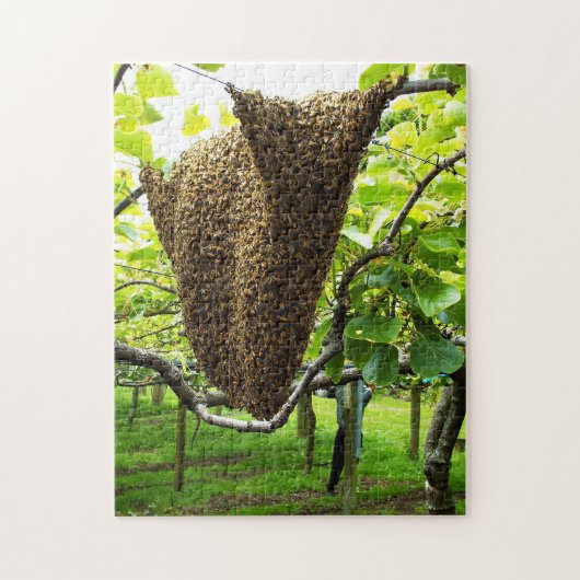 Kiwivruchtenbijenkorf Puzzle Legpuzzel (Verticaal)