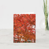 Kiyoto in de herfst kaart (Voorkant)