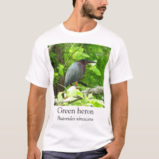 KK - Groene reiger T-shirt