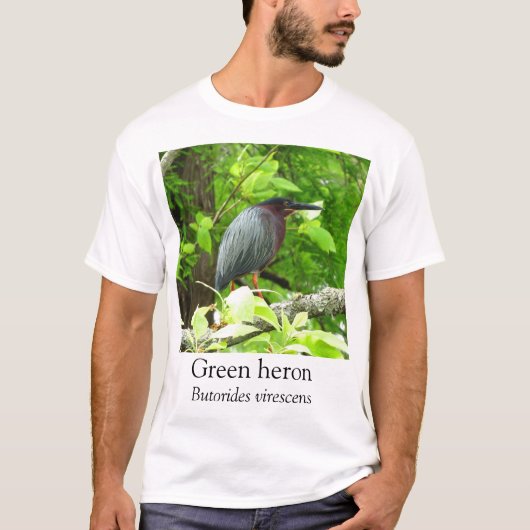 KK - Groene reiger T-shirt (Voorkant)
