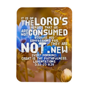 Klaagliederen 3:22-23 KJV Bijbelvers  Magneet