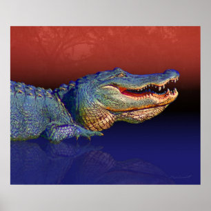 Klaar afdrukken van Gator - 24x20 - andere beschik Poster