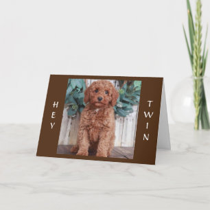 KLAAR OM DE VERJAARDAG VAN MIJN TWEELING TE VIEREN KAART