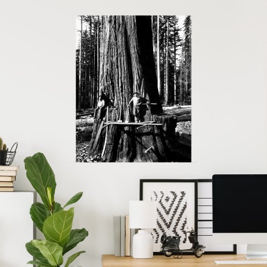 KLAAR OM EEN GIANTE SEQUOIE TE DROPEN c. 1888 Poster (Thuiskantoor)