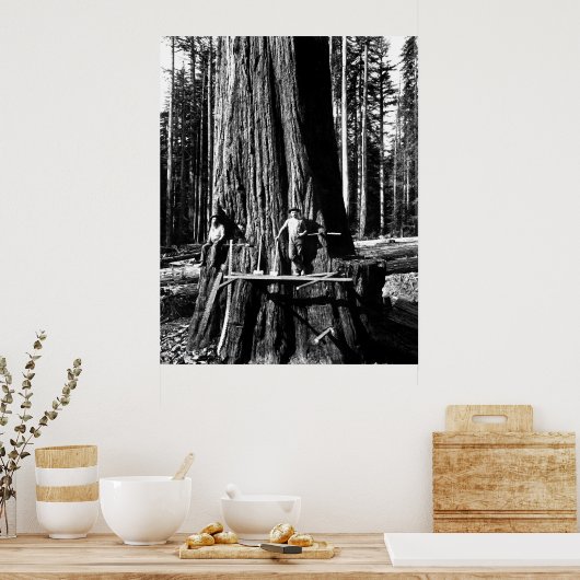KLAAR OM EEN GIANTE SEQUOIE TE DROPEN c. 1888 Poster (Keuken)