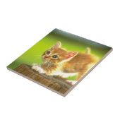 Klaar om Kitten af te spelen Tegeltje (Zijkant)