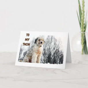 KLAAR OM MIJN TWIN TE HOREN HEEFT "BESTE BIRTHDAY  KAART