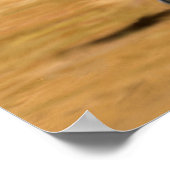 Klaar om te draaien - Paarden schilderen Poster (Hoek)