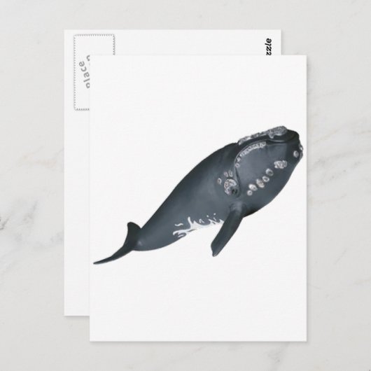 KLAAR OM TE OVERTREDEN BRIEFKAART (Voorkant / Achterkant)